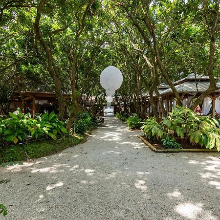Magical Wonderkoi House In A Japanese Koi Garden Villa Miami Ngoại thất bức ảnh