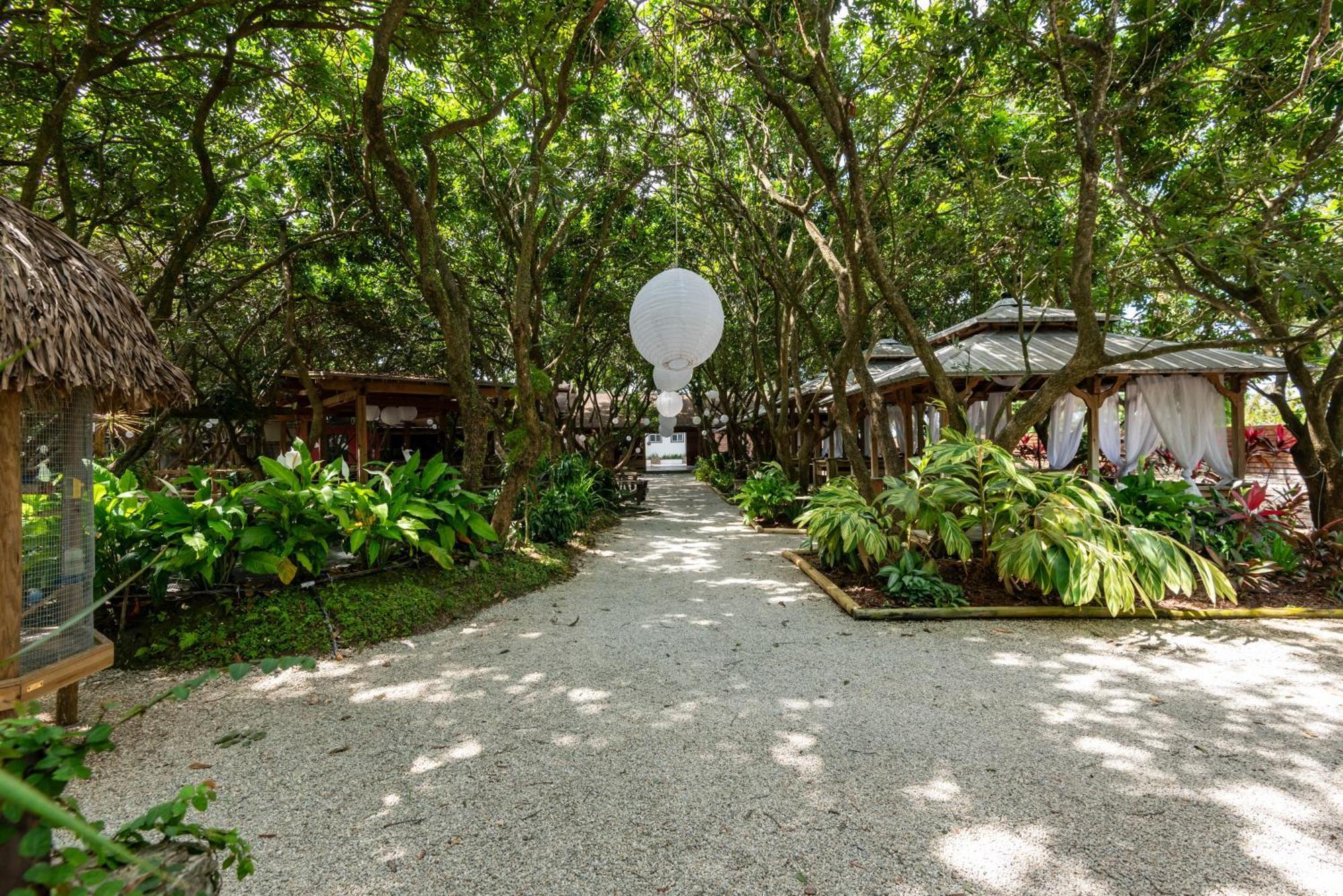 Magical Wonderkoi House In A Japanese Koi Garden Villa Miami Ngoại thất bức ảnh