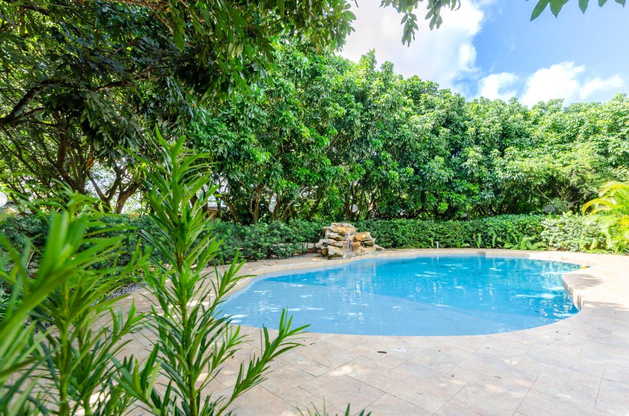 Magical Wonderkoi House In A Japanese Koi Garden Villa Miami Ngoại thất bức ảnh